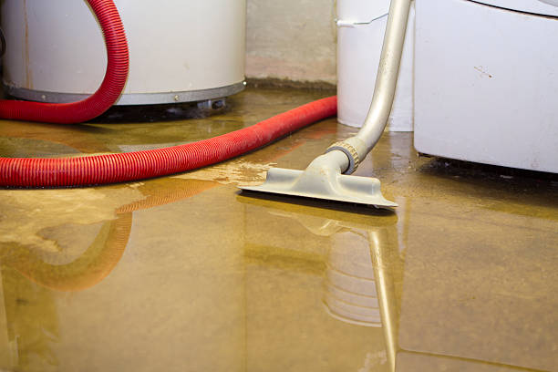 Trusted Water Damage Restoration in Palm Springs, CA | Fast, Reliable, and Ready to Assist You